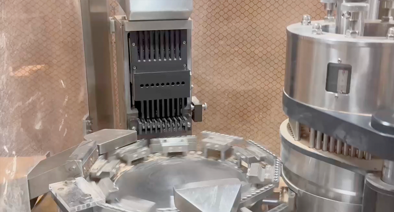 Capsule Filling Machine 5 Transparent Capsules