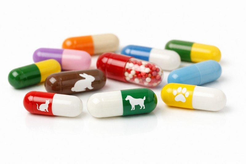 Veterinary Capsules 3
